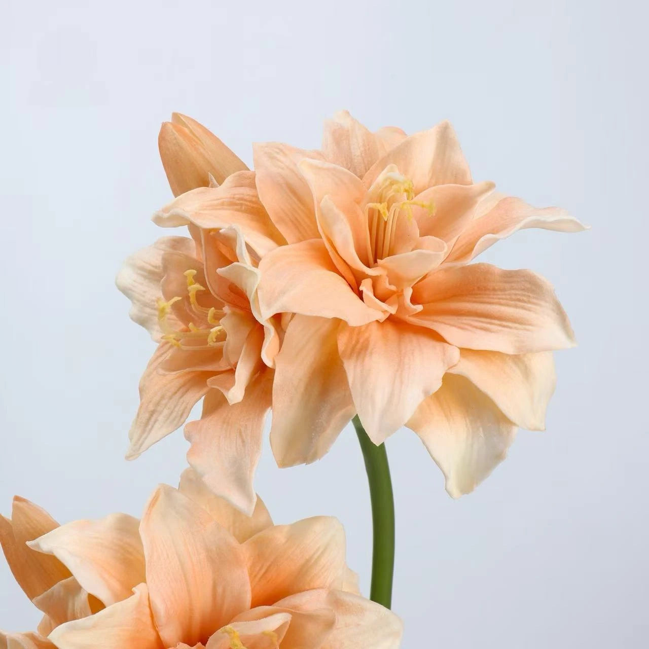 Faux Amaryllis Stem – 23"