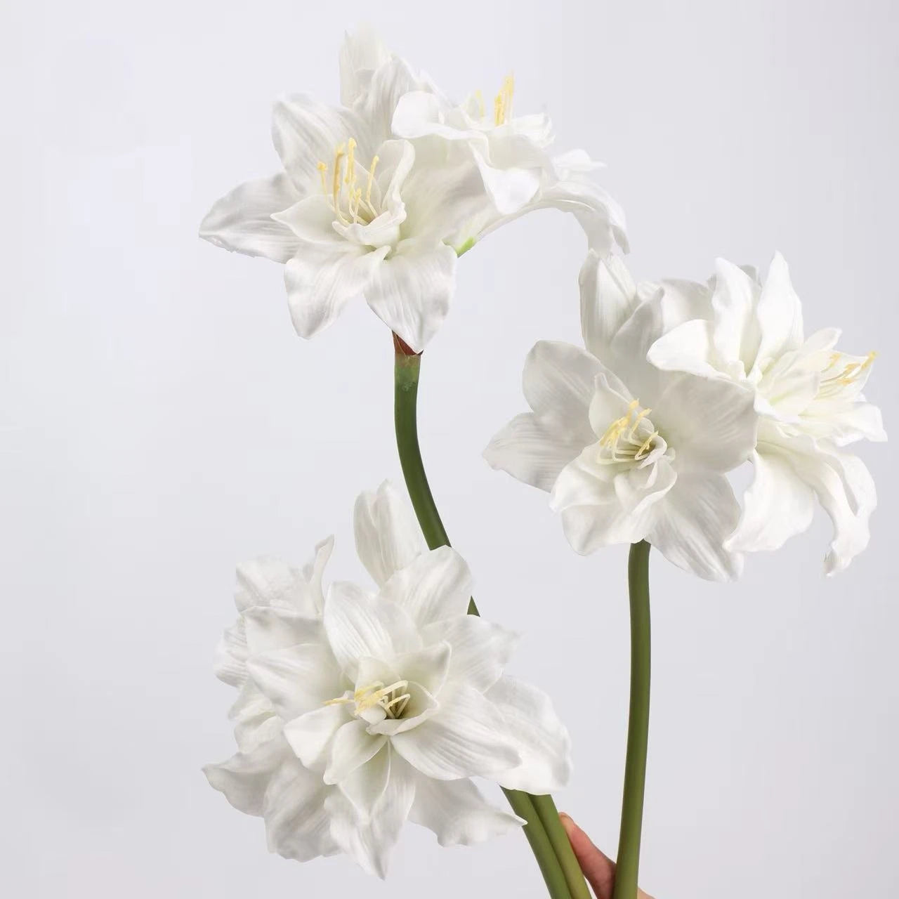 Faux Amaryllis Stem – 23"