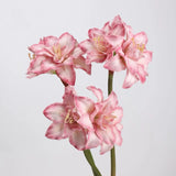 Faux Amaryllis Stem – 23"