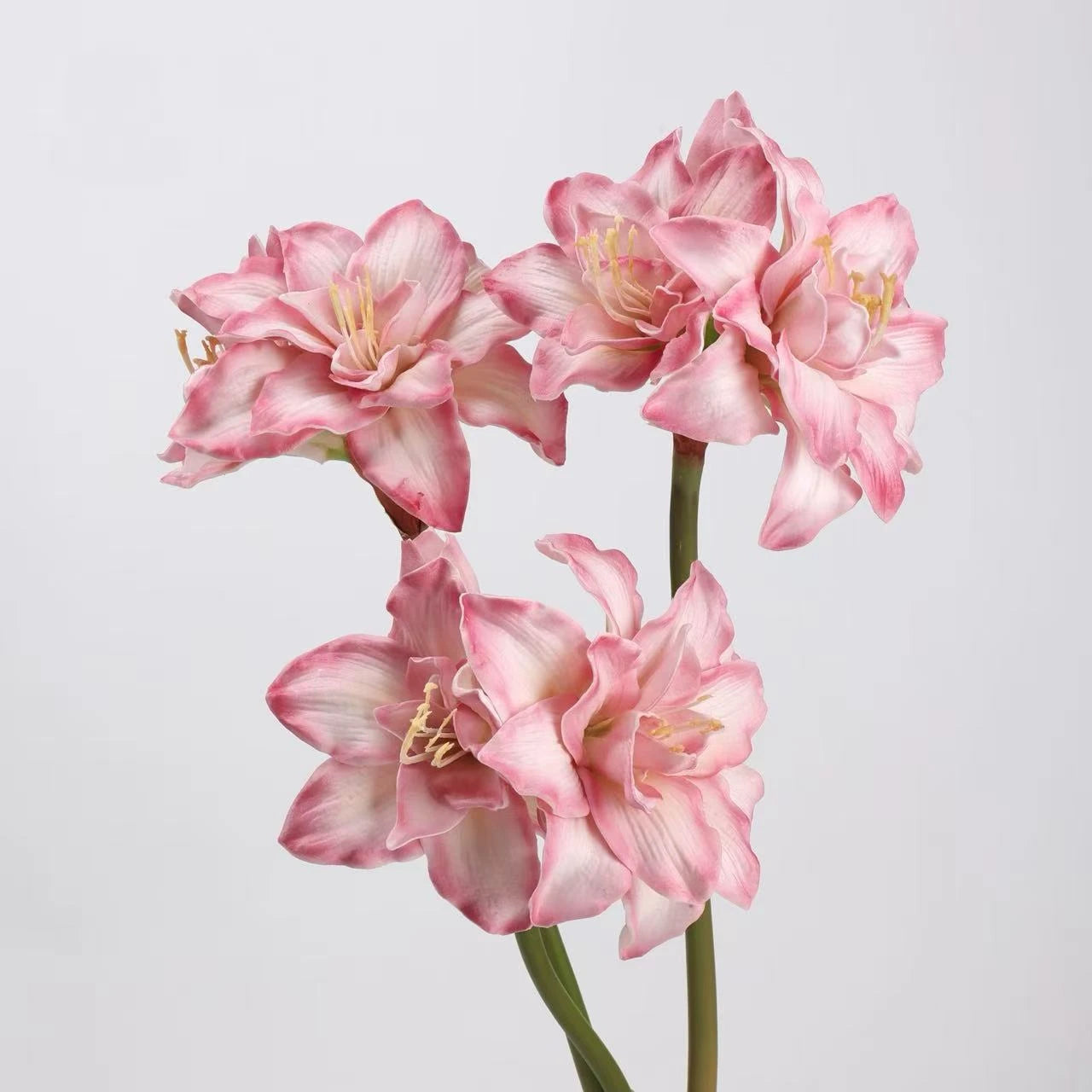 Faux Amaryllis Stem – 23"