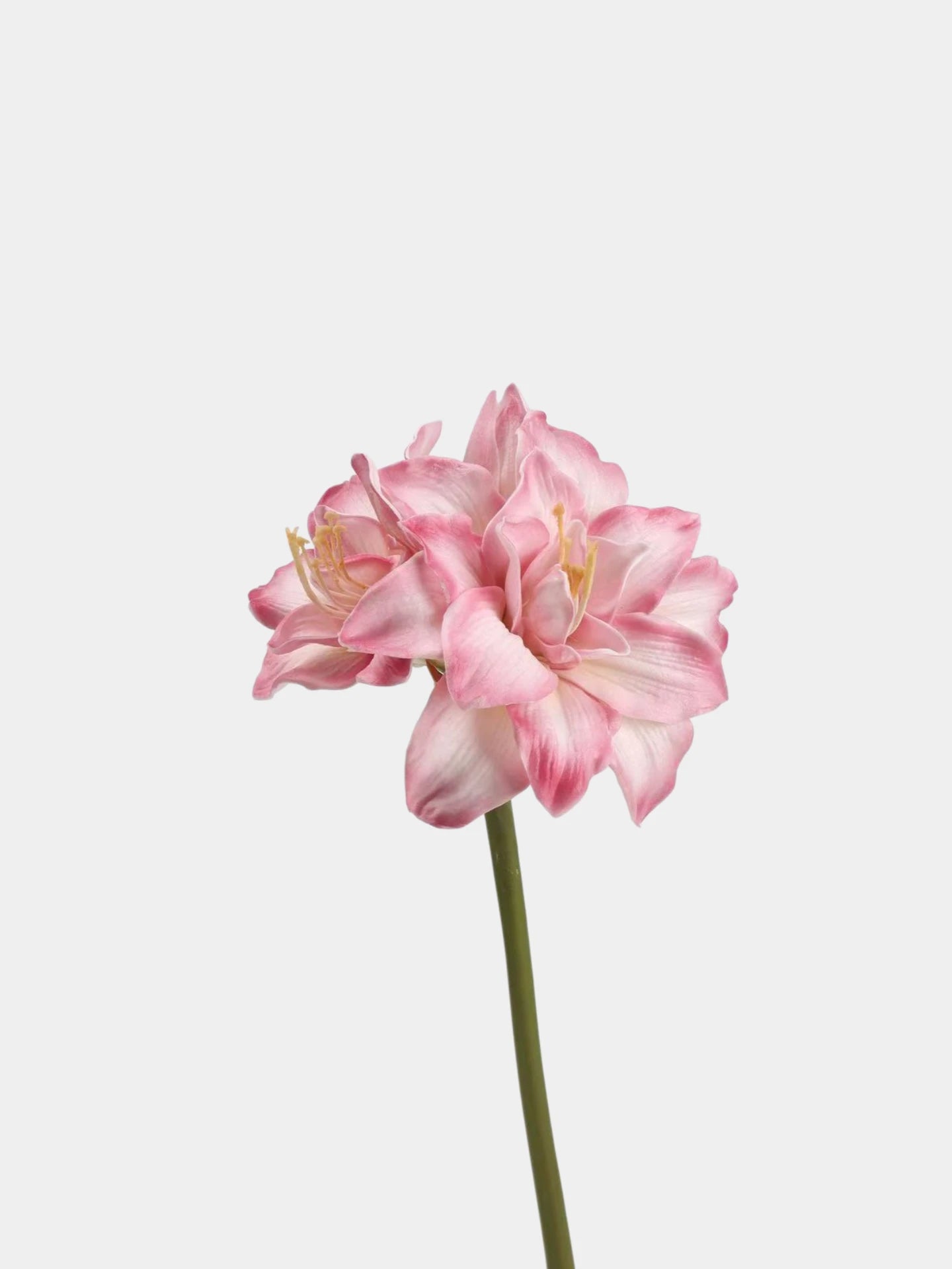 Faux Amaryllis Stem – 23"