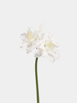 Faux Amaryllis Stem – 23"