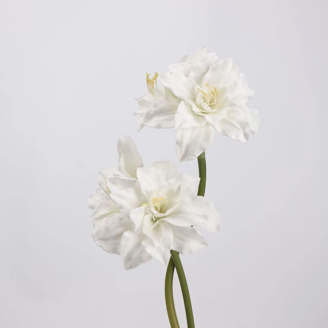 Faux Amaryllis Stem – 23"