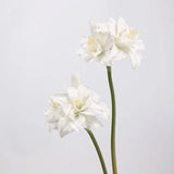 Faux Amaryllis Stem – 23"