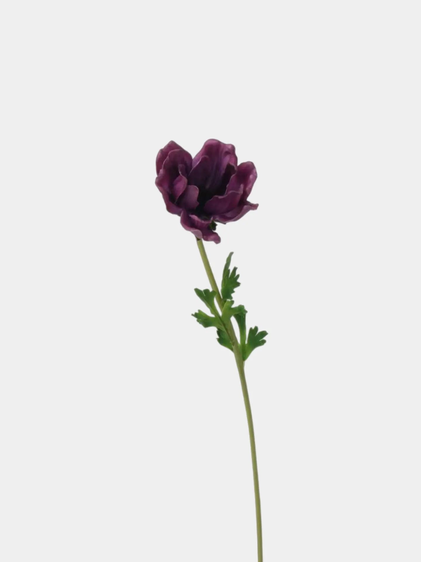 Faux Anemone Flower Stem -Purple 26"
