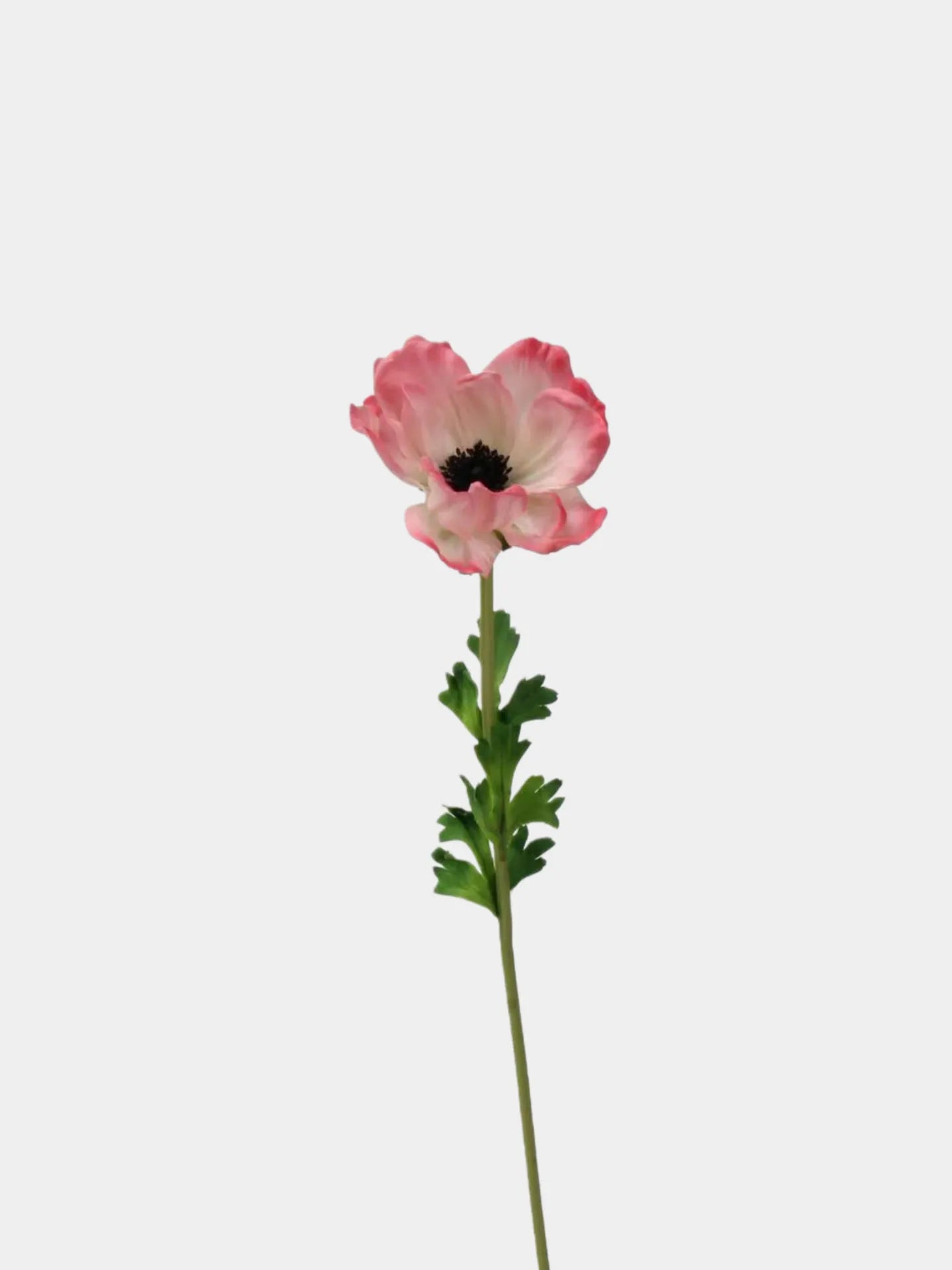Faux Anemone Flower Stem -Pink 26"
