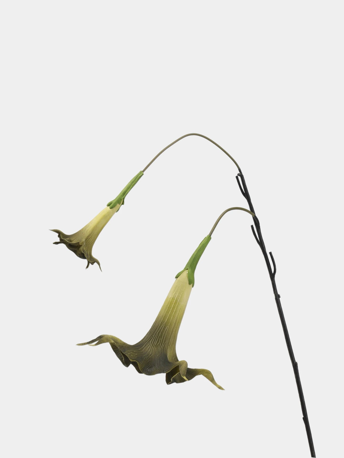 Faux Angel’s Trumpet Flower –34"