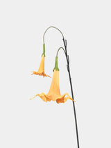 Faux Angel’s Trumpet Flower –34"