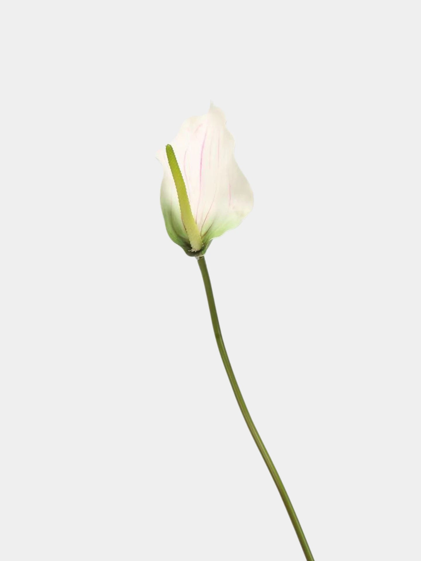 Faux Anthurium Lily Stem -28"