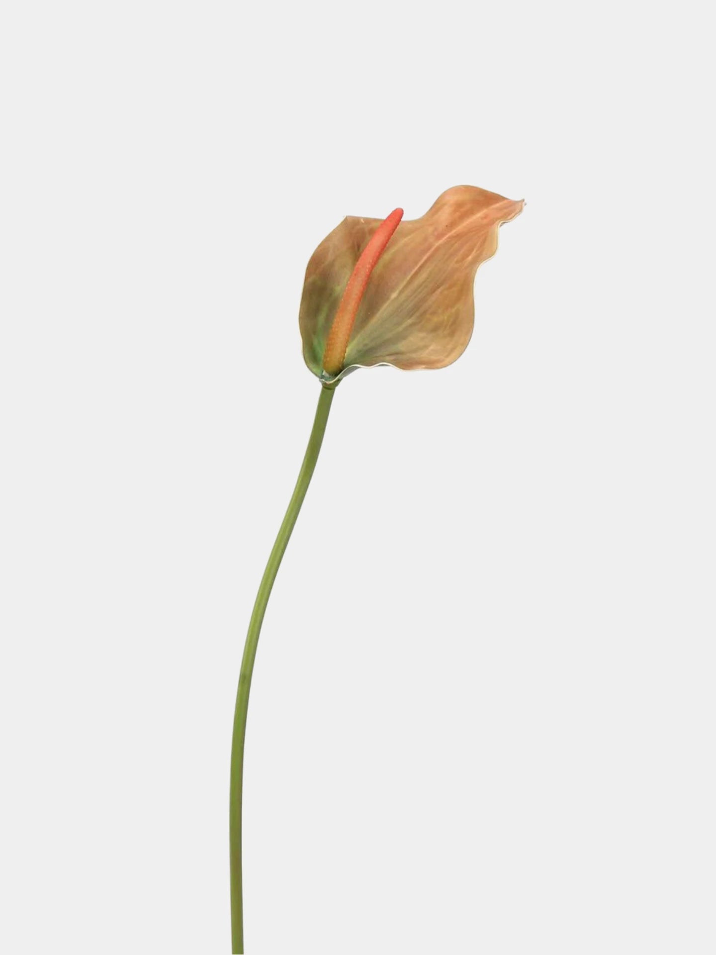 Faux Anthurium Lily Stem -28"