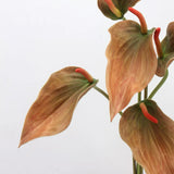 Faux Anthurium Lily Stem -28"