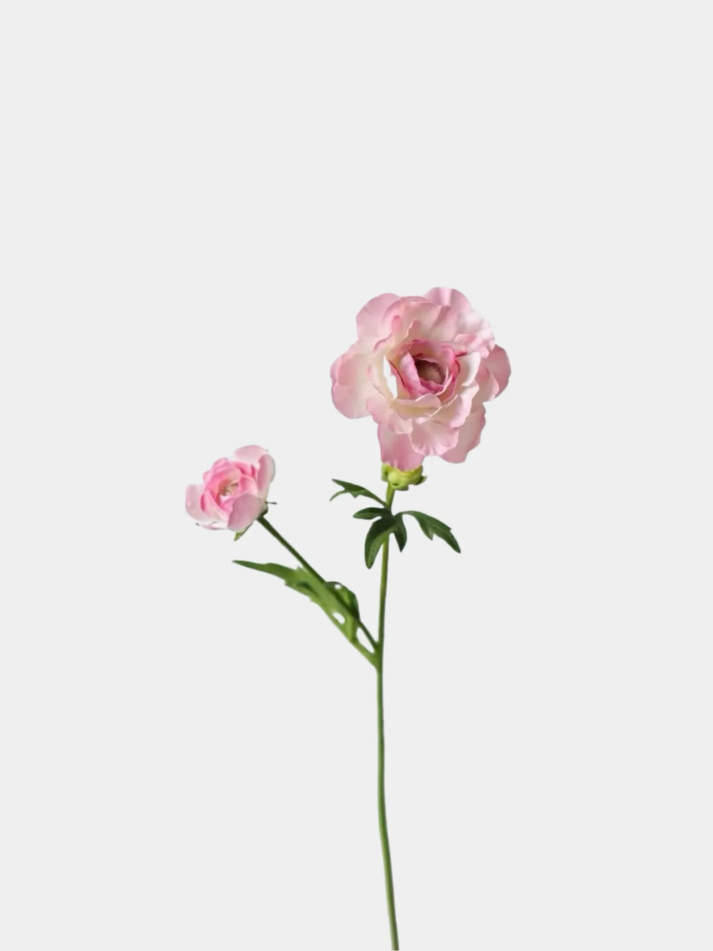 Faux Aurora Peony Stem