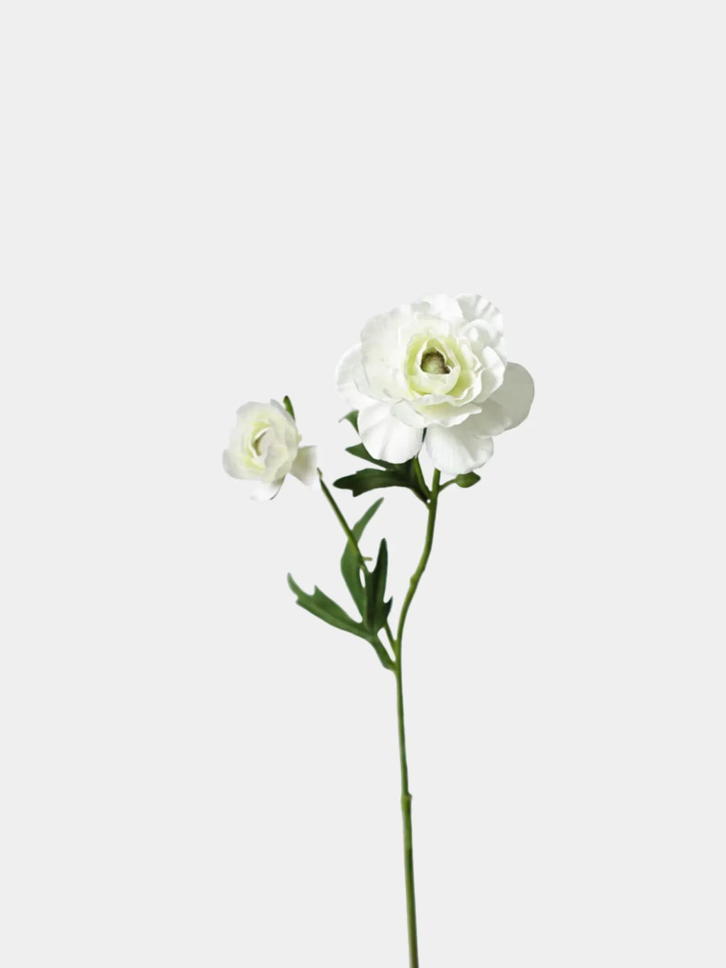 Faux Aurora Peony Stem