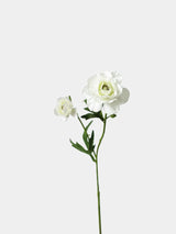 フェイクオーロラ peony ステム