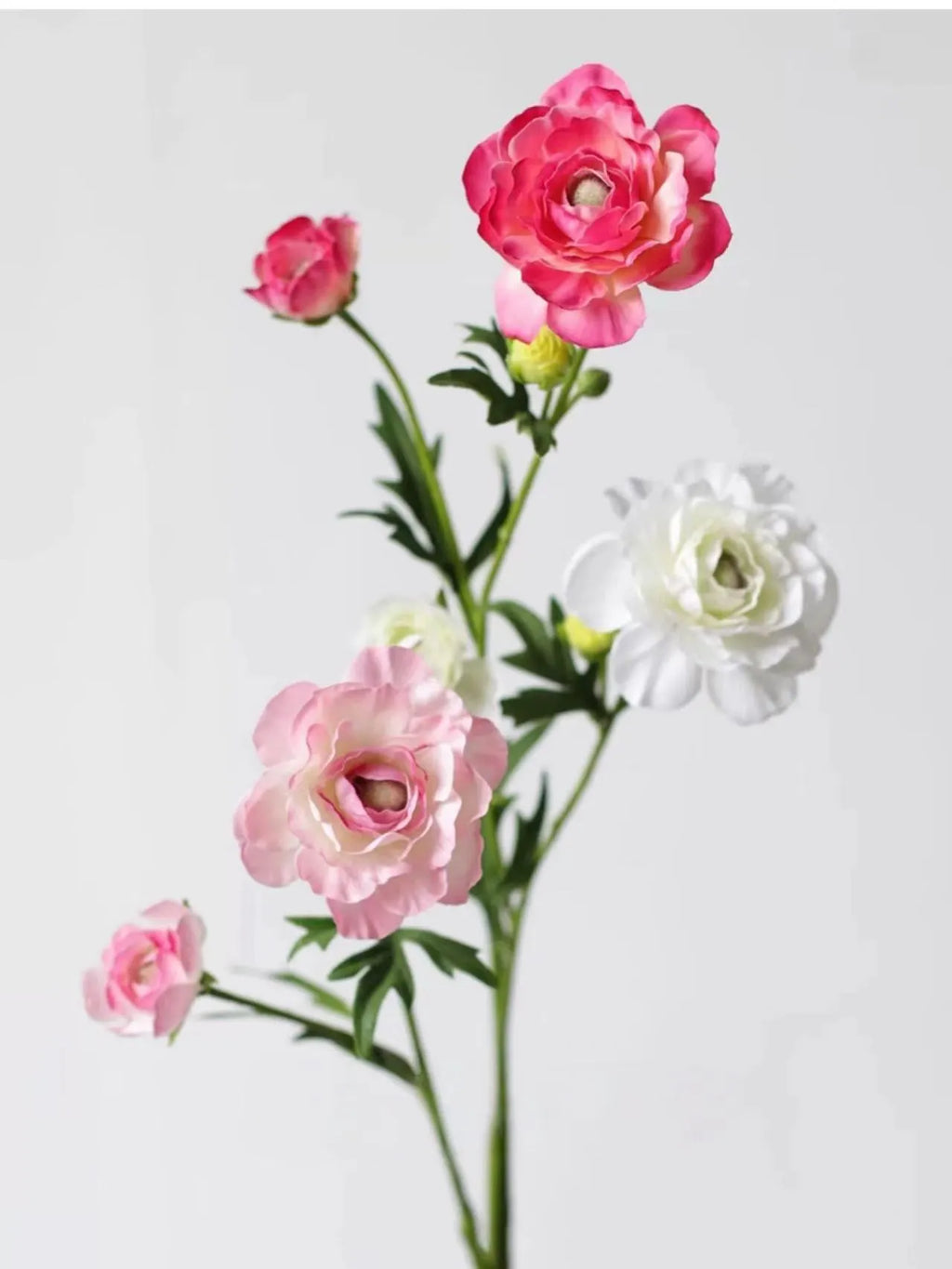 Faux Aurora Peony Stem