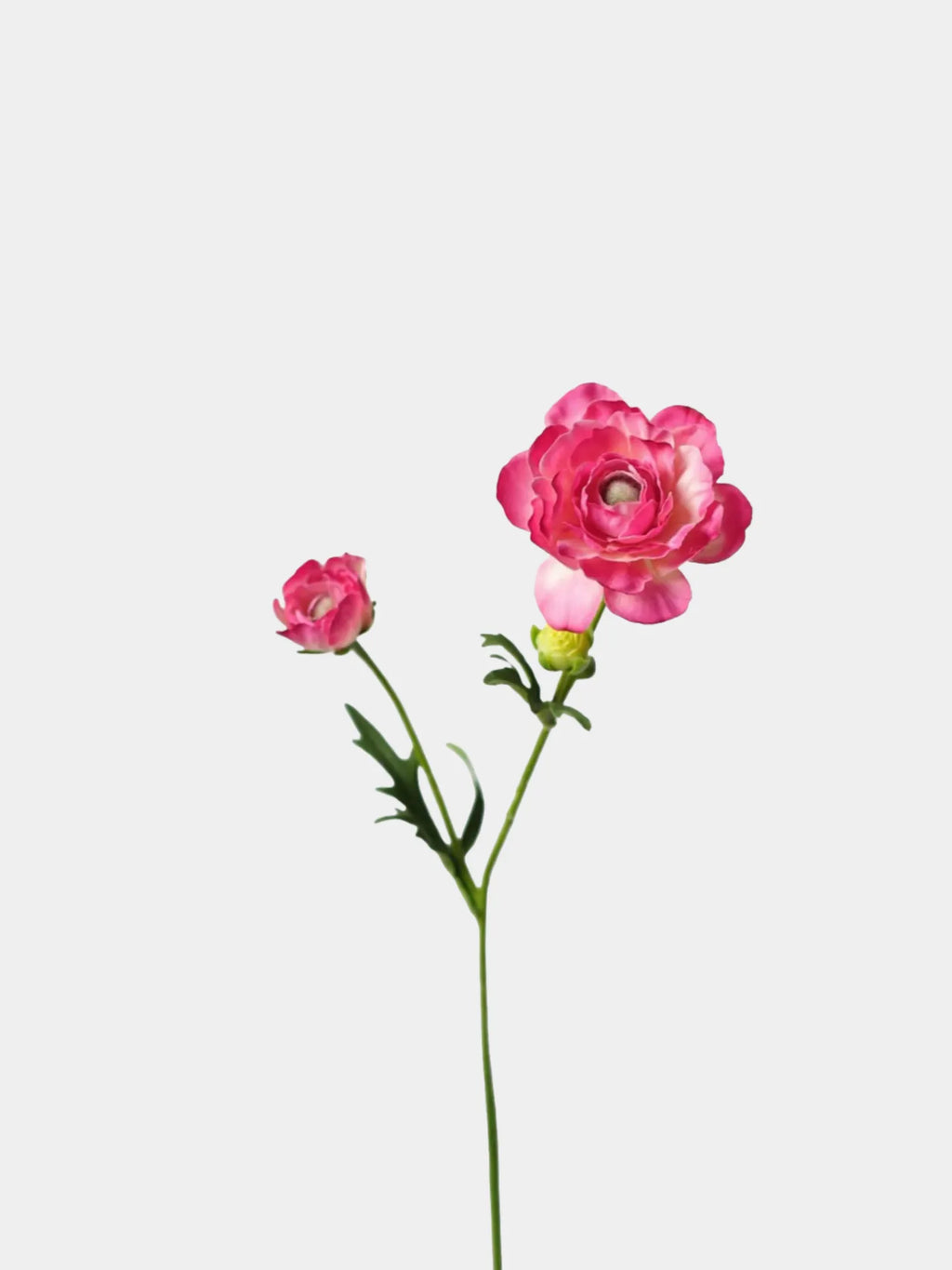Faux Aurora Peony Stem