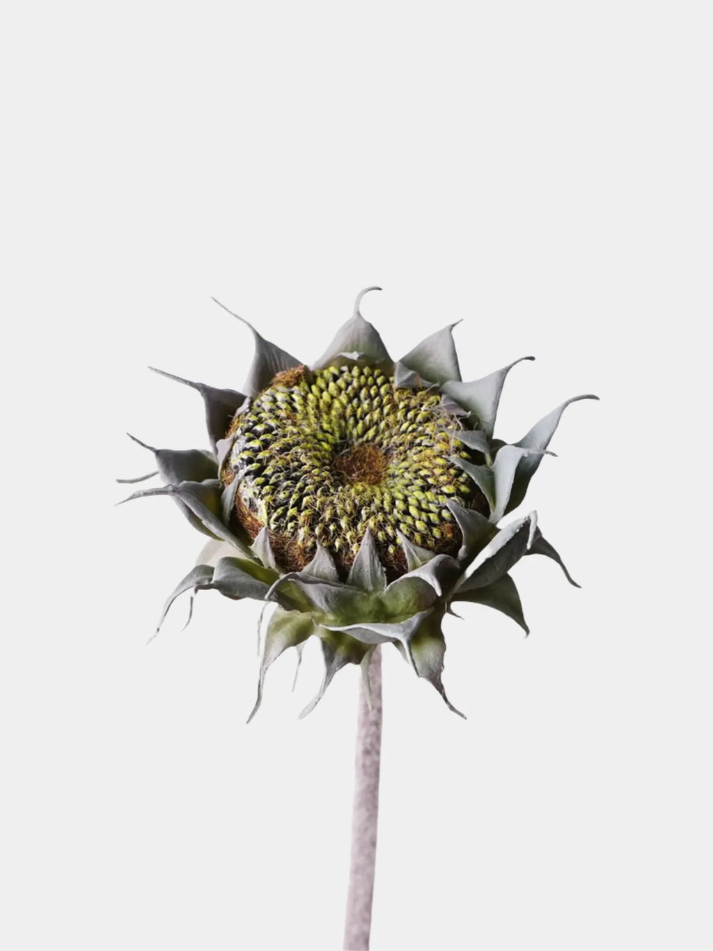 Faux Autumn Sunflower