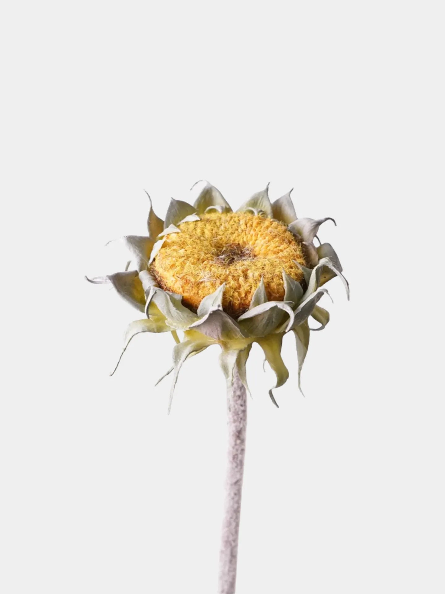 Faux Autumn Sunflower