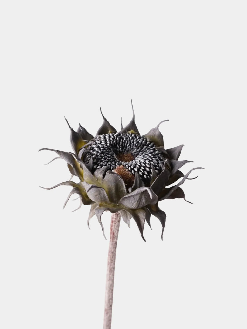 Faux Autumn Sunflower