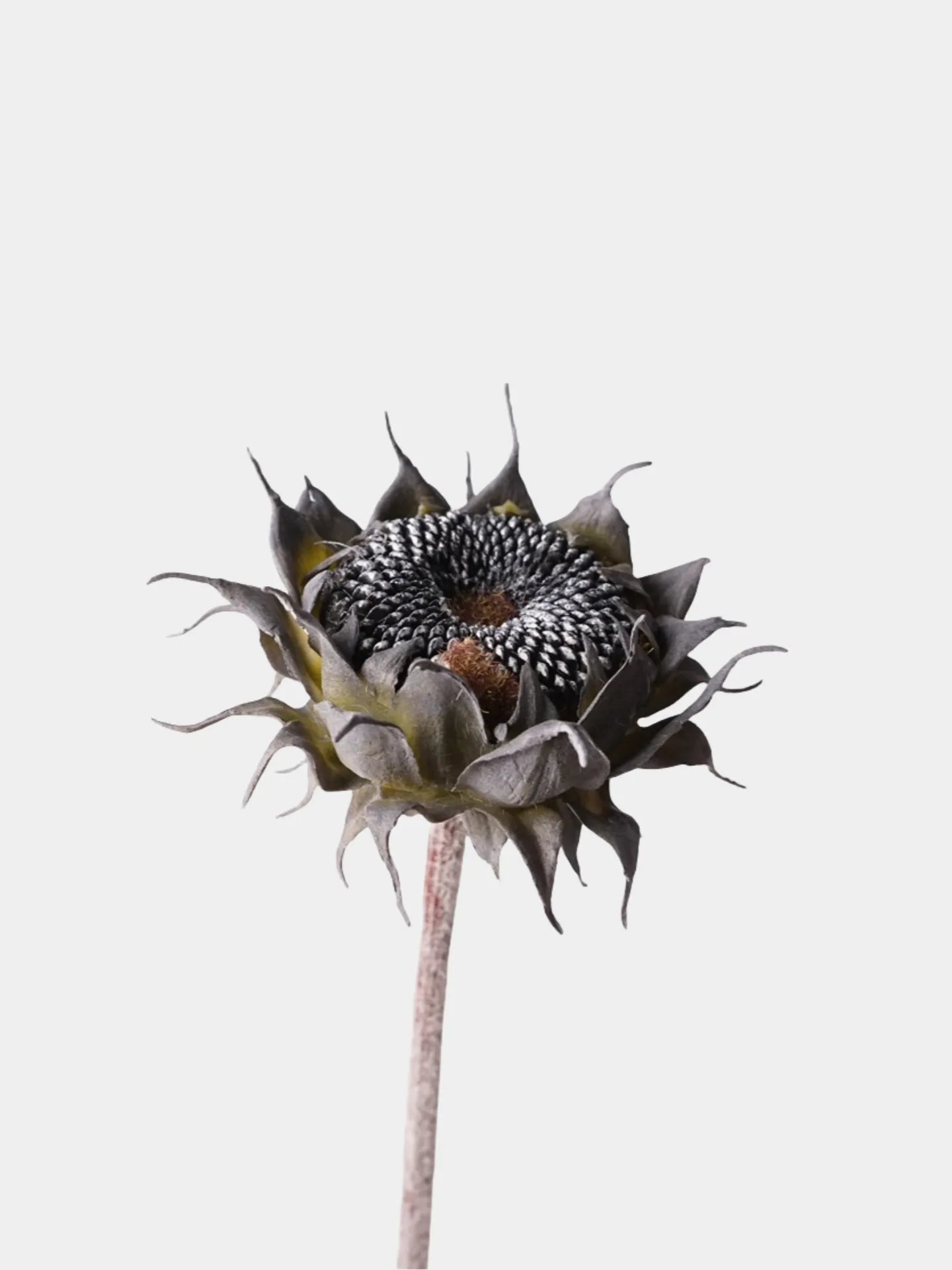 Faux Autumn Sunflower