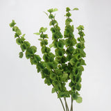フェイクアイルランドのベルの花 (Moluccella laevis) - 37.4"
