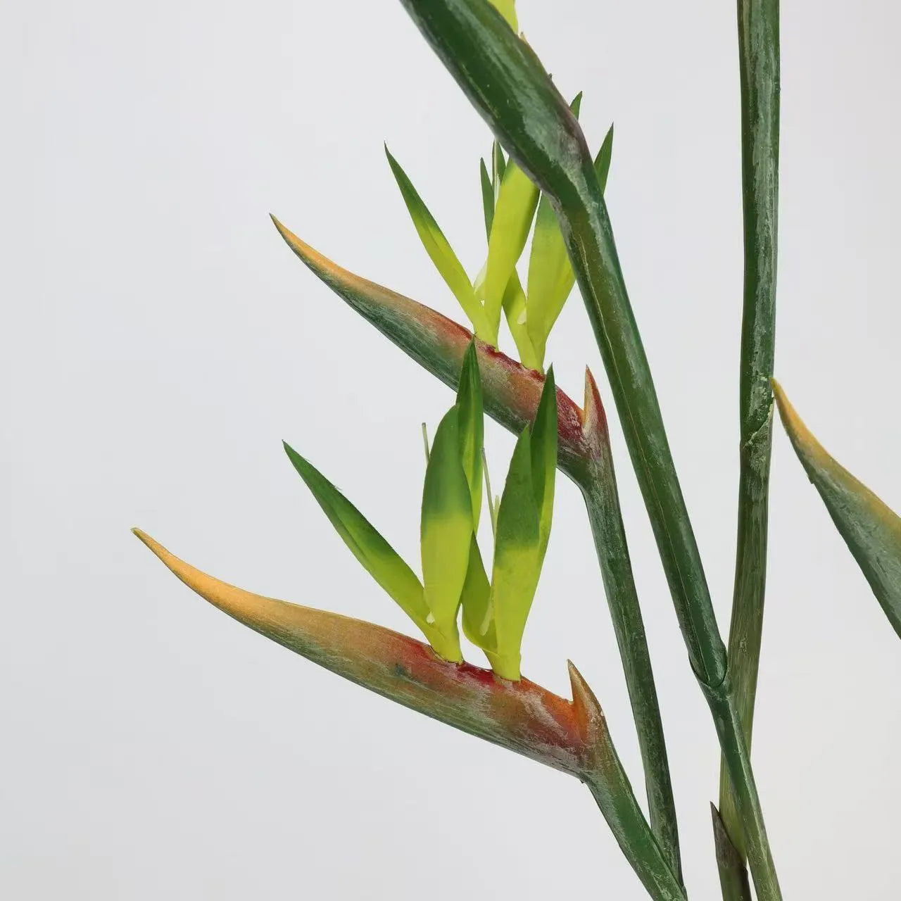 Faux Bird of Paradise Stem –31"