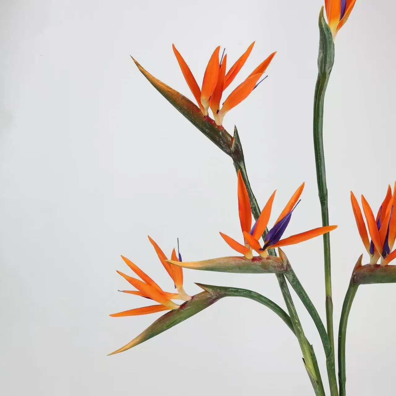 Faux Bird of Paradise Stem –31"