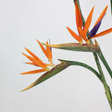 Faux Bird of Paradise Stem –31"