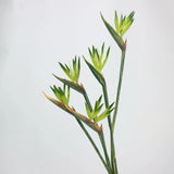 Faux Bird of Paradise Stem –31"