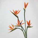 Faux Bird of Paradise Stem –31"