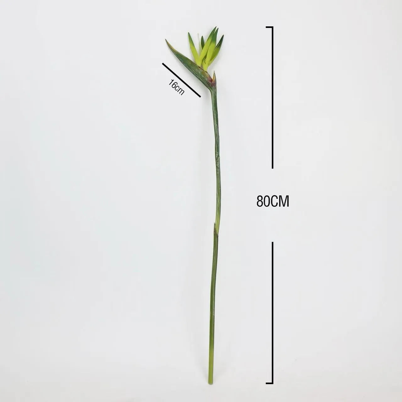 Faux Bird of Paradise Stem –31"