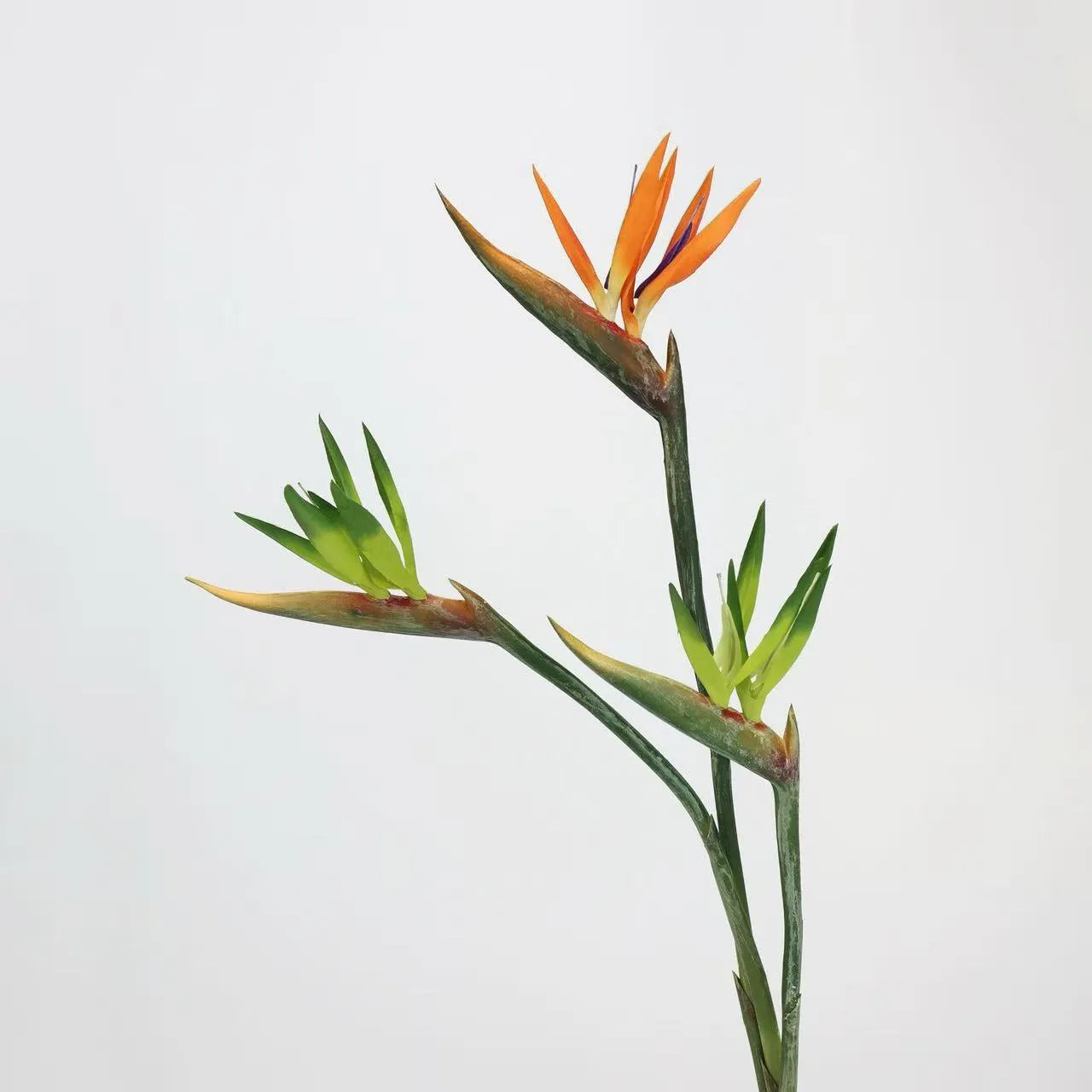 Faux Bird of Paradise Stem –31"