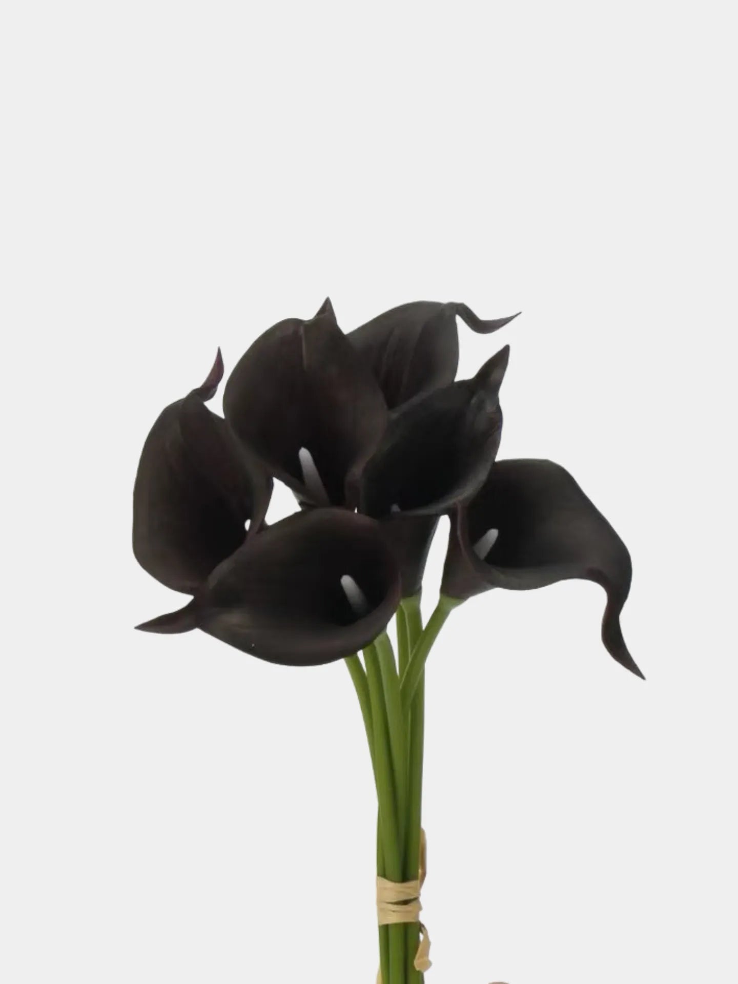 Faux Calla Lily Bouquet - 6 Stems