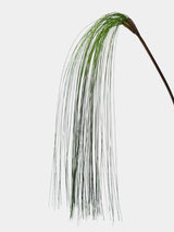 Faux Cascade Weeping Grass  –27"