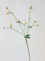 Falscher Kamillenblütenspray – 71 cm
