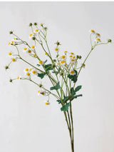 Falscher Kamillenblütenspray – 71 cm