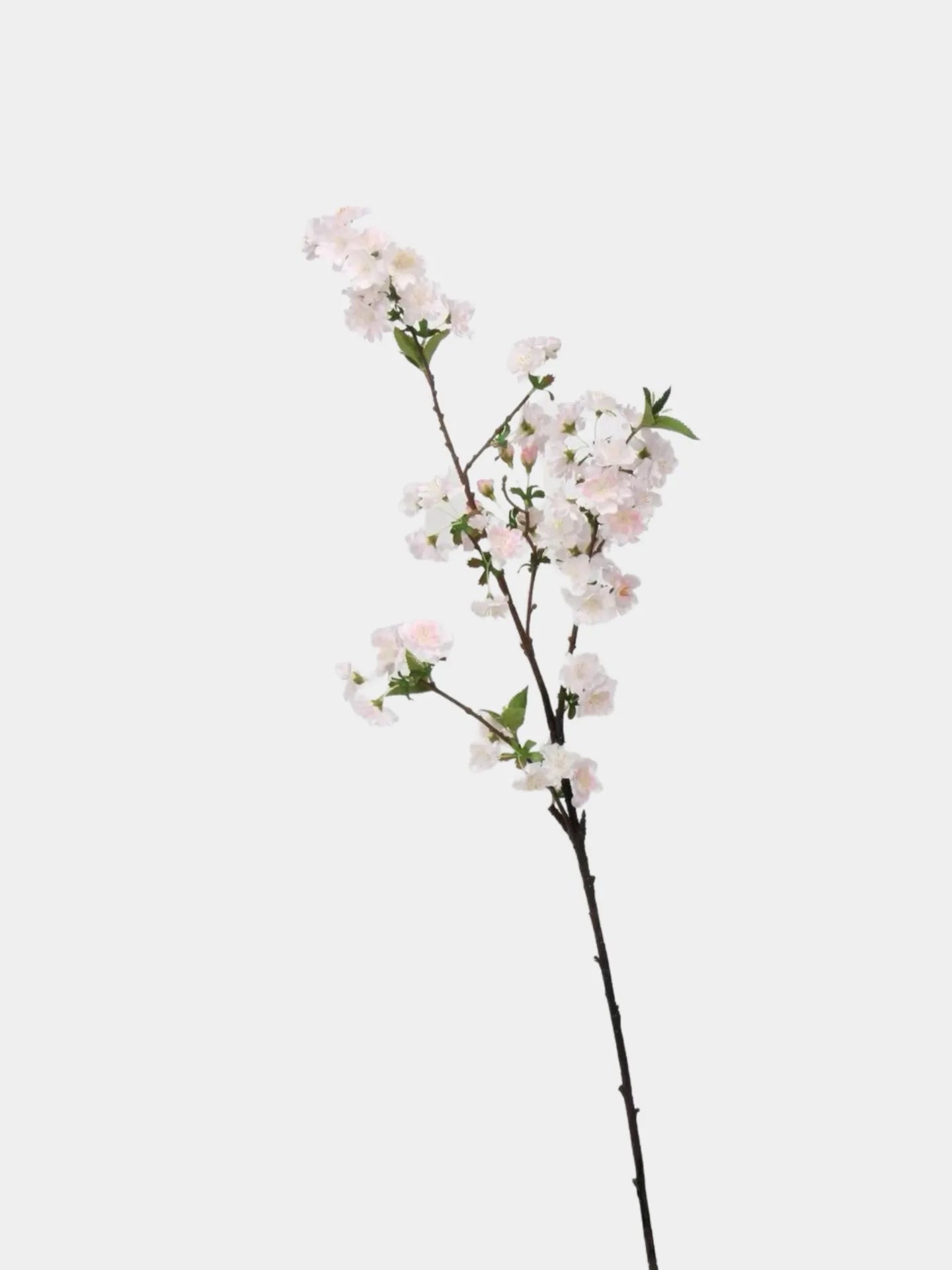 フェイク桜の枝