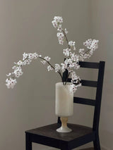 Faux Cherry Blossom Branches , Two-Stem –43"