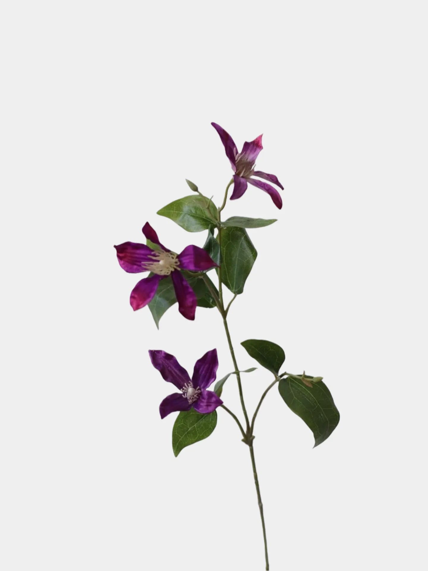 フェイククレマチスの花 – 24.8インチ