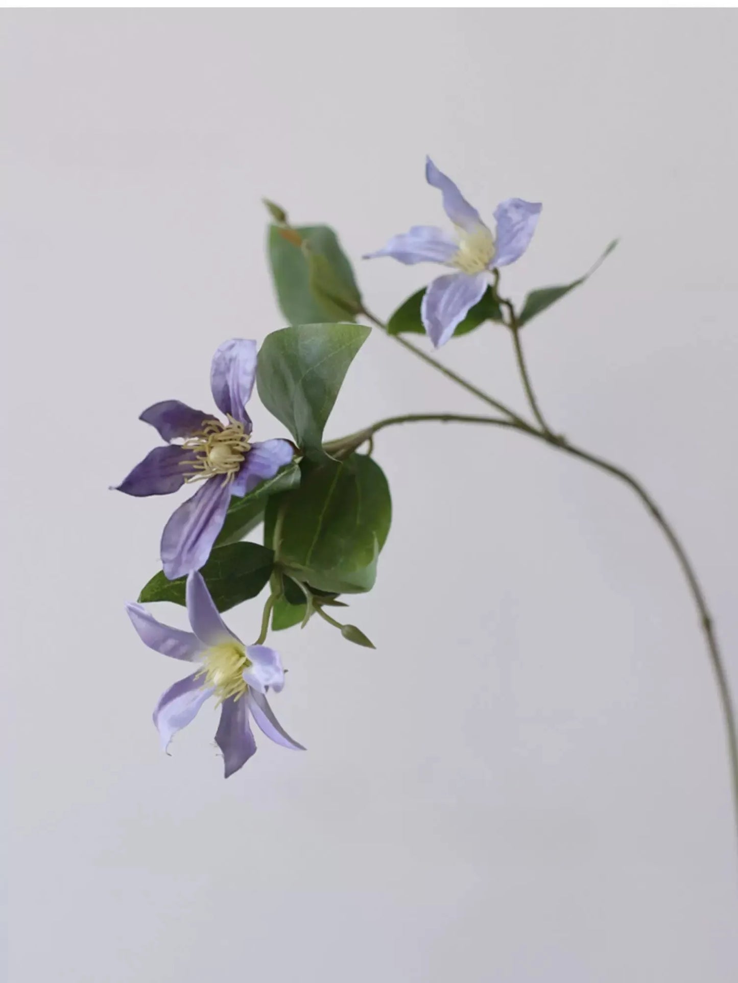 フェイククレマチスの花 – 24.8インチ