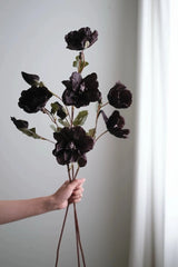 Faux Corn Poppy Flower in Black – 28"