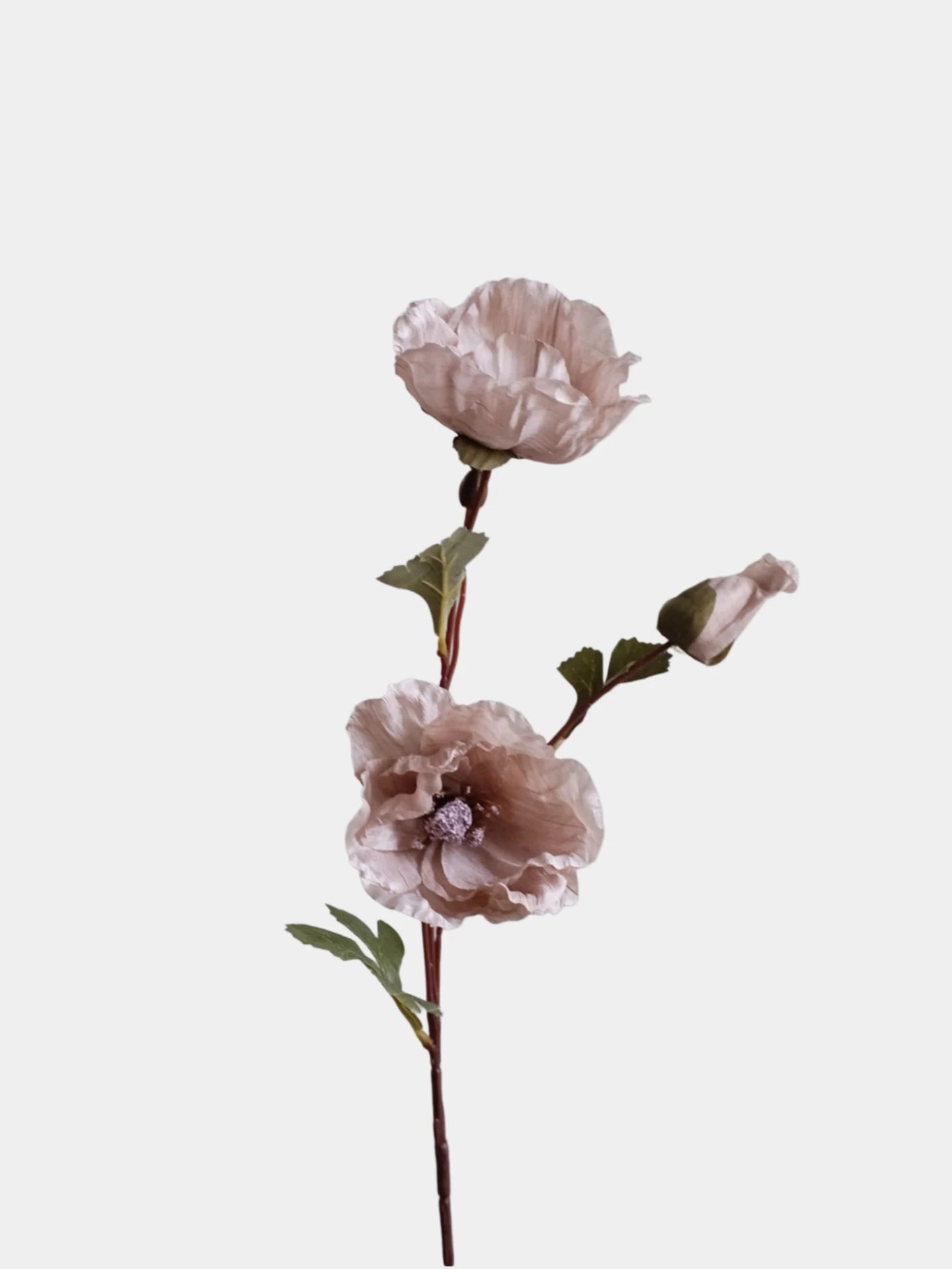 Faux Corn Poppy Flower In Dusty Pink – 28"