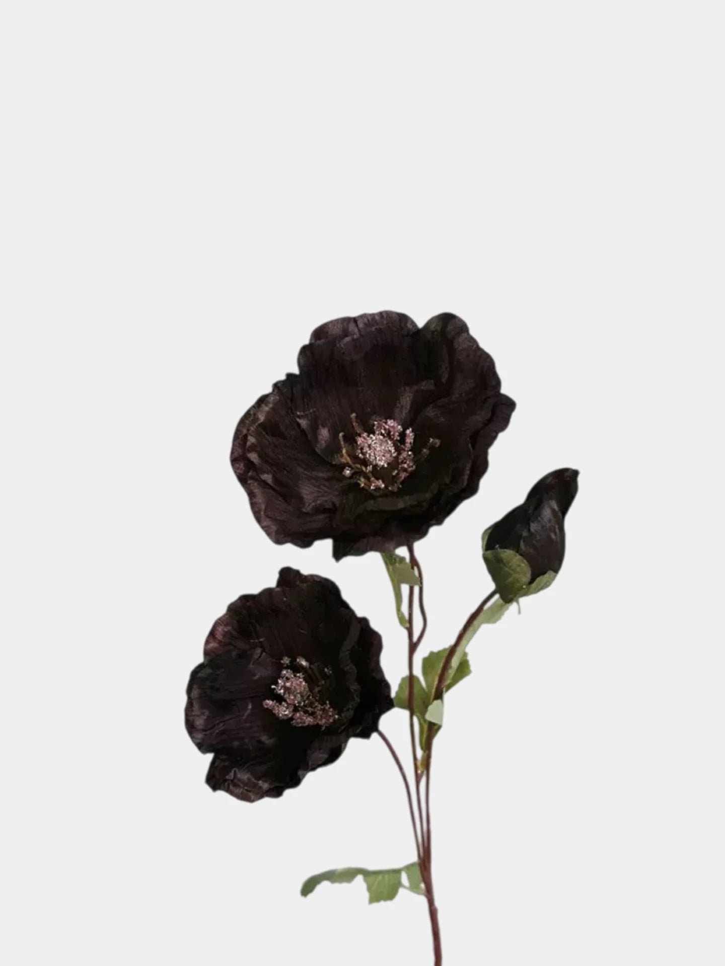Faux Corn Poppy Flower in Black – 28"