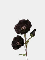 Faux Corn Poppy Flower in Black – 28"