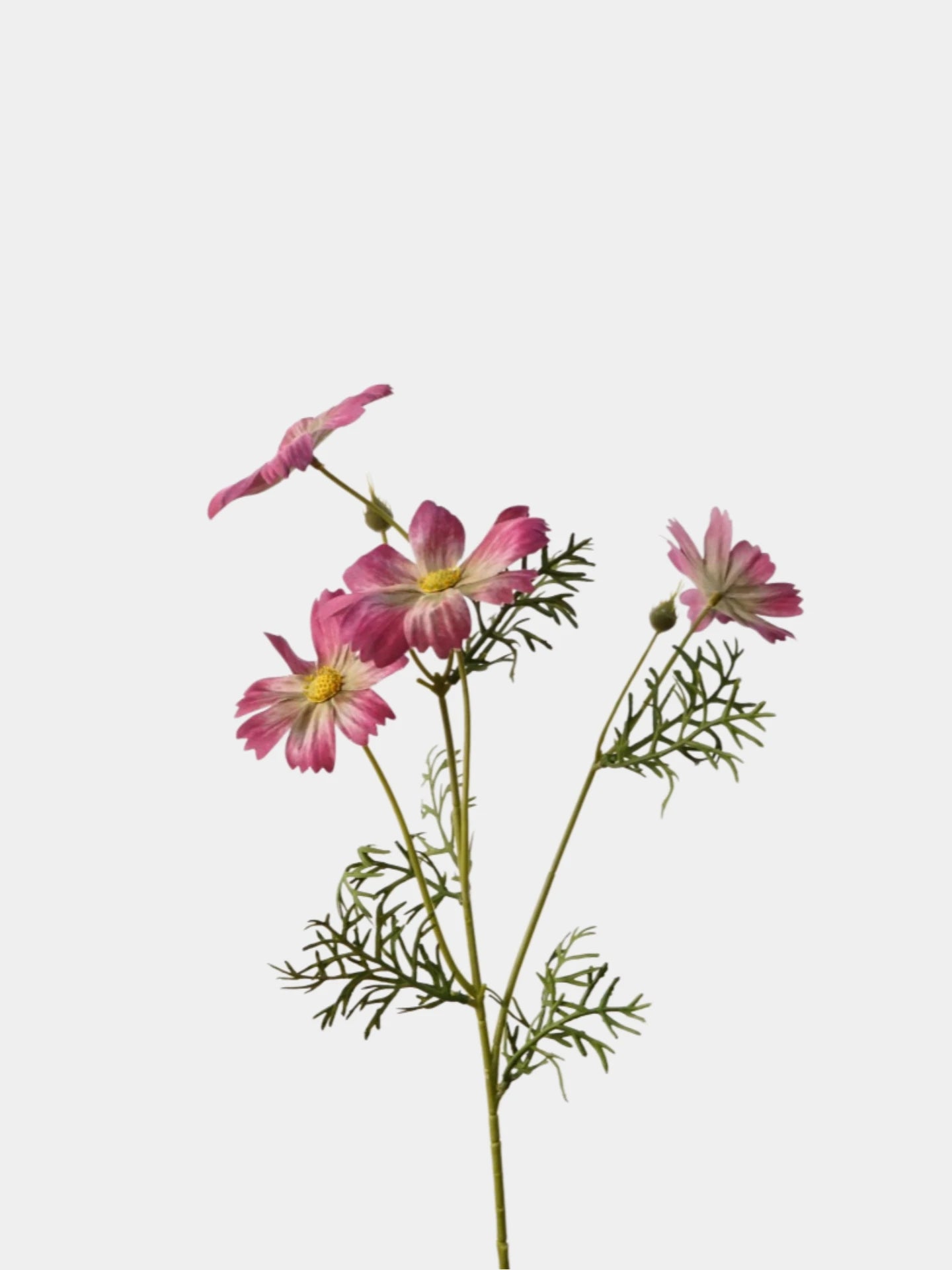 Faux Cosmos Spray– 13"