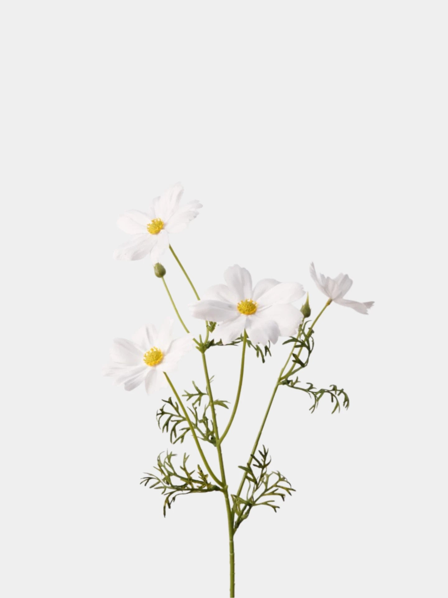 Faux Cosmos Spray– 13"