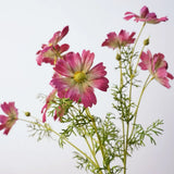 Faux Cosmos Spray– 13"