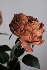 Faux Toasted Edge David Austin Rose – 24"