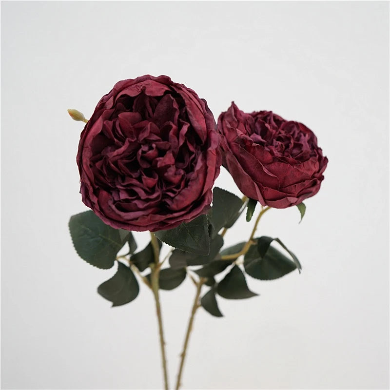 Faux Toasted Edge David Austin Rose – 24"