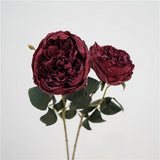 Faux Toasted Edge David Austin Rose – 24"